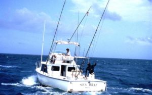 sea fishing trips falmouth